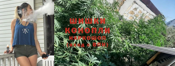 PSILOCYBIN Абаза